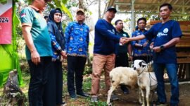 Penyerahan kambing unggulan oleh Kepala desa Banjar Waru H. Abdurrahman ke kelompok peternak  (Dok Apakabarbogor/wan)