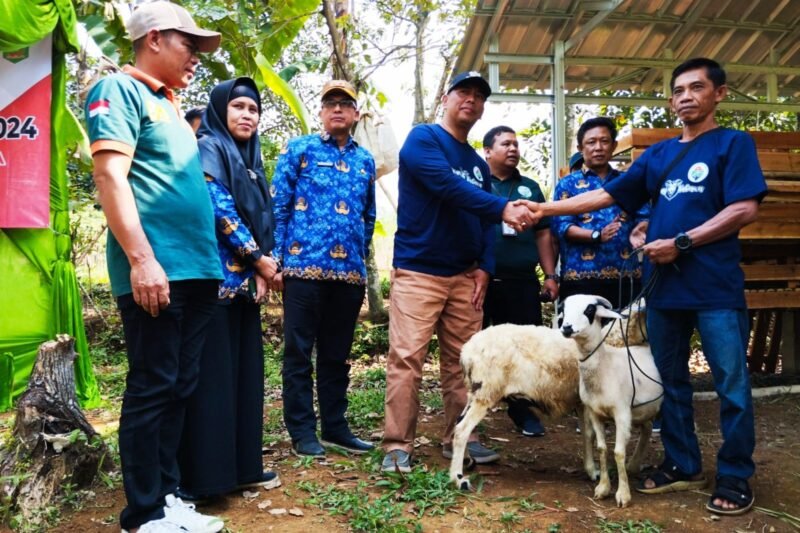 Penyerahan kambing unggulan oleh Kepala desa Banjar Waru H. Abdurrahman ke kelompok peternak  (Dok Apakabarbogor/wan)